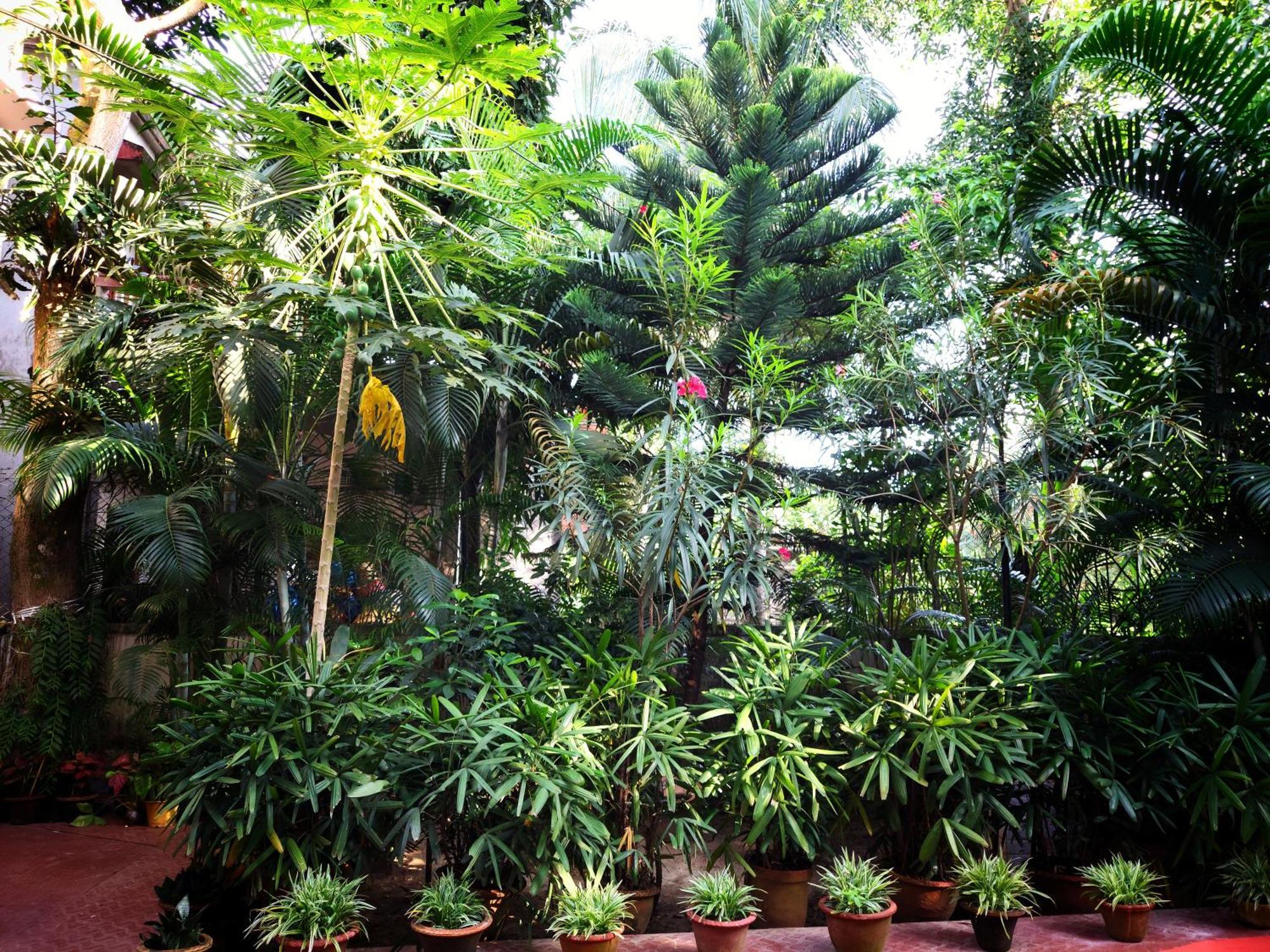 Chaiti Eco Homestay- Santiniketan Bolpur Kültér fotó