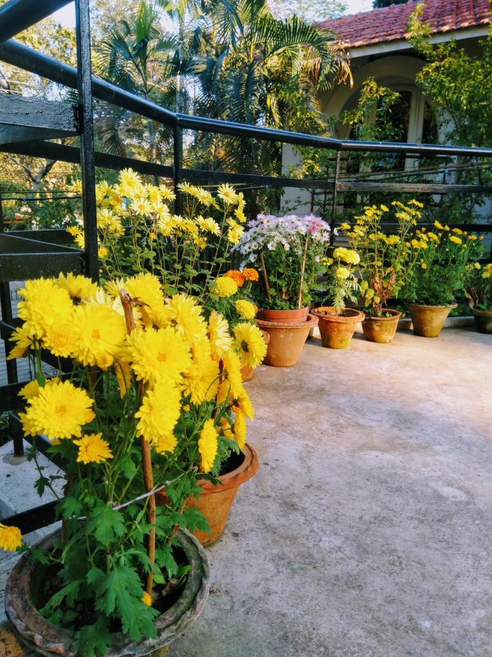 Chaiti Eco Homestay- Santiniketan Bolpur Kültér fotó